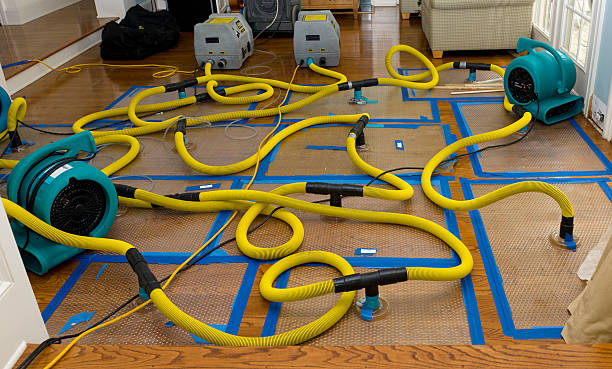 Professional Basement Flood Cleanup technician working in Bartow, GA
